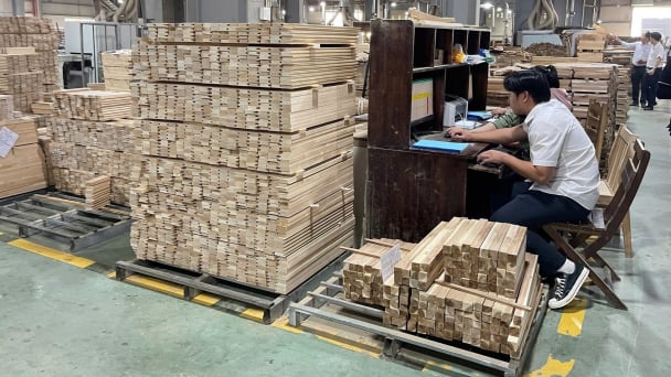 Binh Dinh wood industry 'sprints' to adapt to EUDR